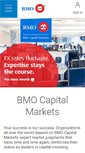 Mobile Screenshot of bmocm.com